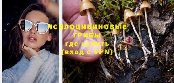 спиды Алзамай