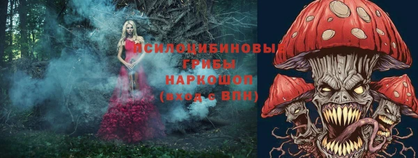 спиды Алзамай